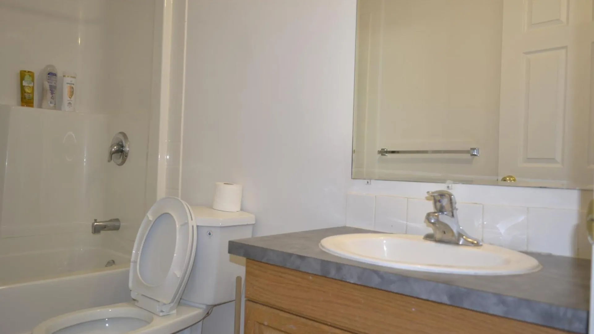 Lower Level Walkout Suite With Bathroom YYC 0*,  캐나다